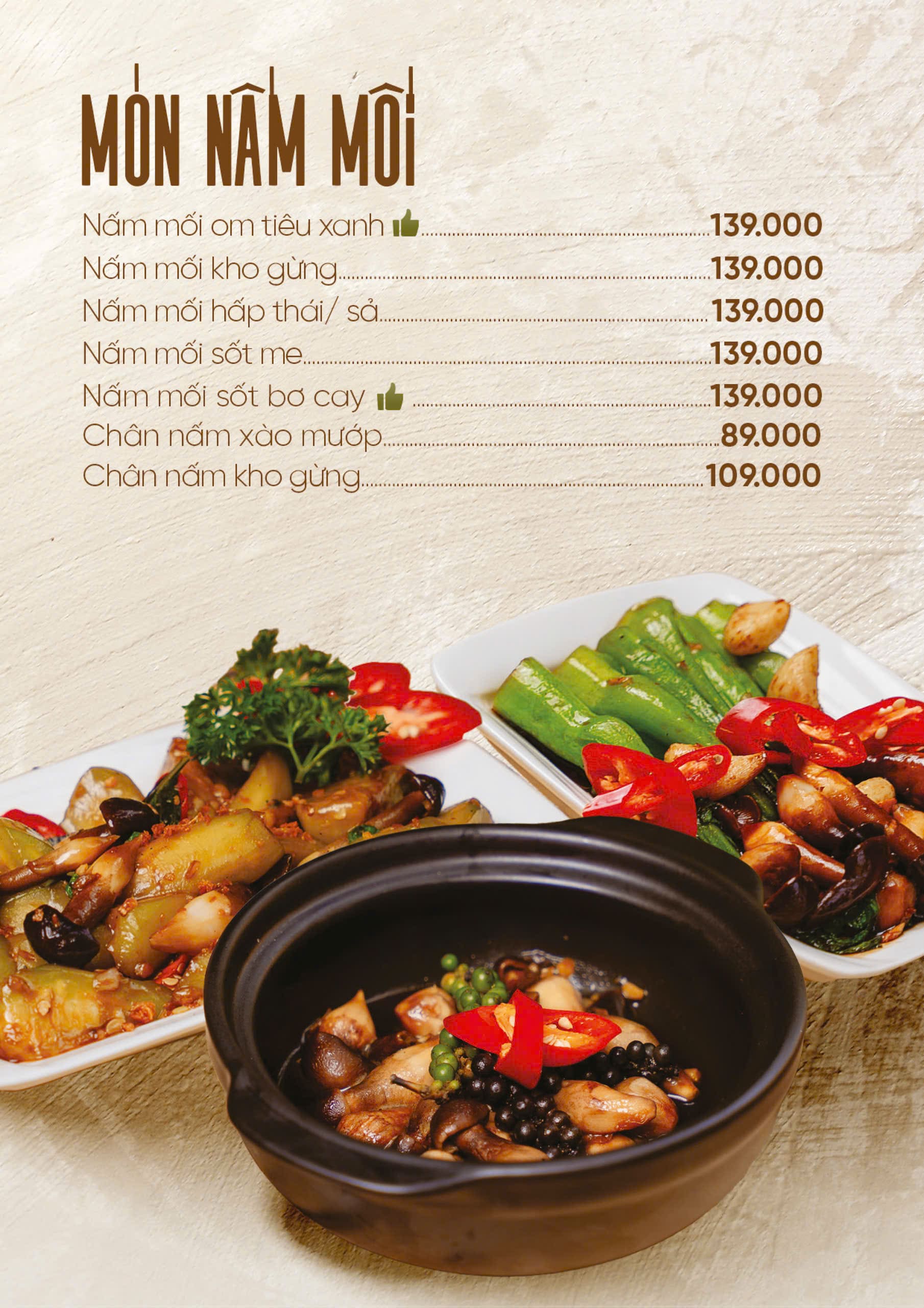 nấm mối